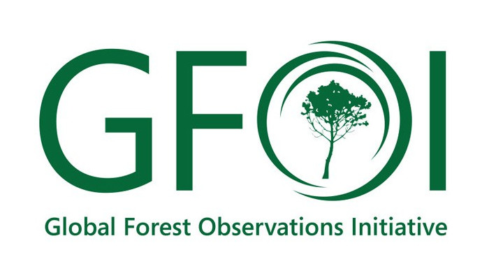 global-forest-observations-initiatives